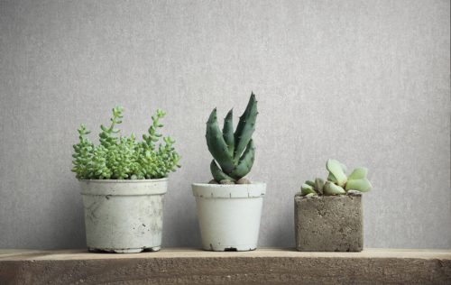 Galambszürke beton hatású modern vinyl tapéta