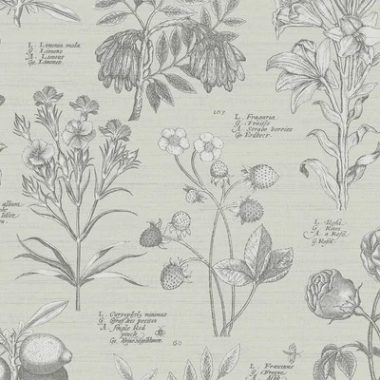   Bézs színű, vintage stílusú tapéta botanikus növényábrázolással latin nevekkel
