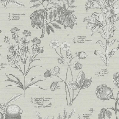 Bézs színű, vintage stílusú tapéta botanikus növényábrázolással latin nevekkel