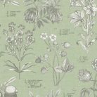 Zsályazöld színű, vintage stílusú tapéta botanikus növényábrázolással latin nevekkel