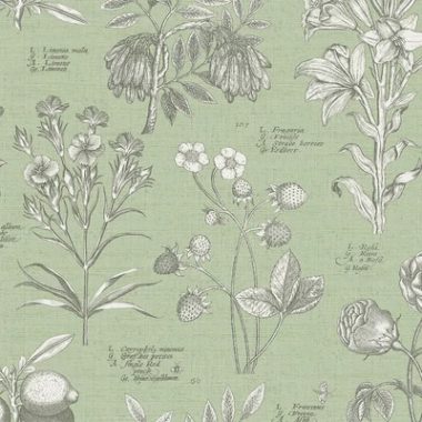   Zsályazöld színű, vintage stílusú tapéta botanikus növényábrázolással latin nevekkel