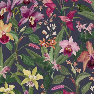 Orchidea virágos színes impozáns tapéta fekete alapszínnel