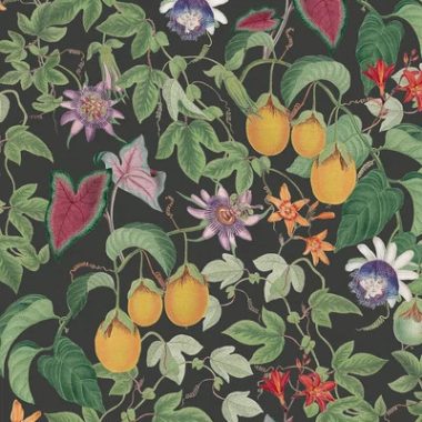   Maracuja gyümölcsös, sűrű mintás, különleges tapéta fekete alapszínnel