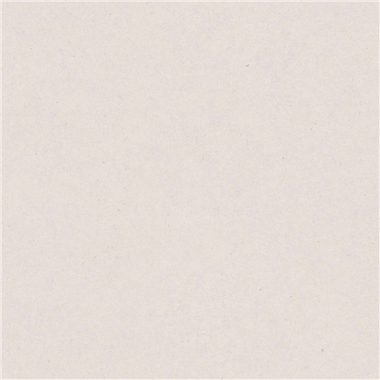 Bézs Egyszínű Vlies Tapéta 