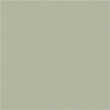 Zöld Egyszínű Vlies Tapéta 