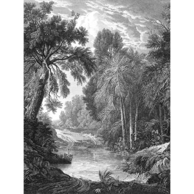    Rézkarc hatású, dzsungel mintás poszter fekete fehér árnyalatban