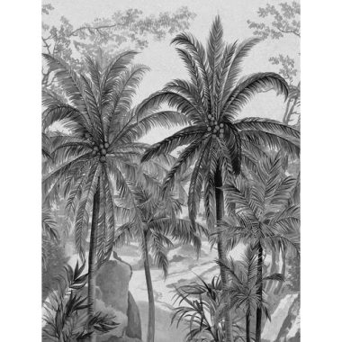  Fekete-fehér kókuszpálma mintás mosható poszter 