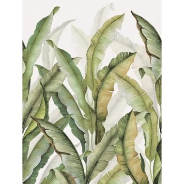 Óriás banánleveles poszter zöld színeárnyalatban