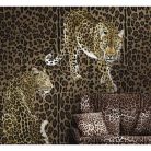 Big Flock Dolce&Gabbana Panel 