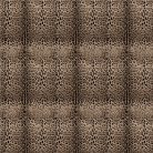 Pure Non-Woven Dolce&Gabbana Panel 