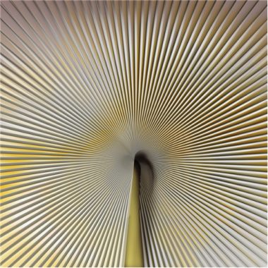 Vinyl Trussardi Panel 