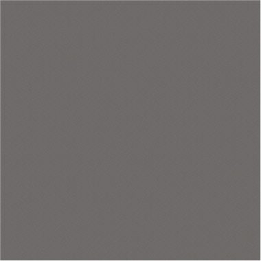 Vinyl Trussardi Panel 