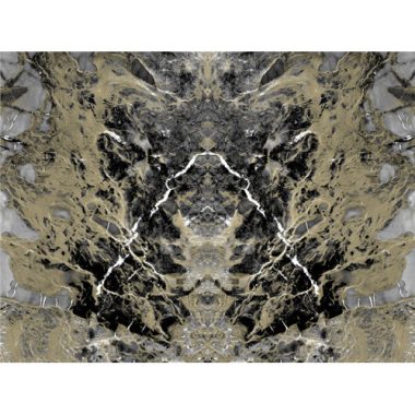 Vinyl Philipp Plein Panel 