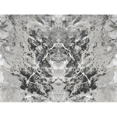 Vinyl Philipp Plein Panel 