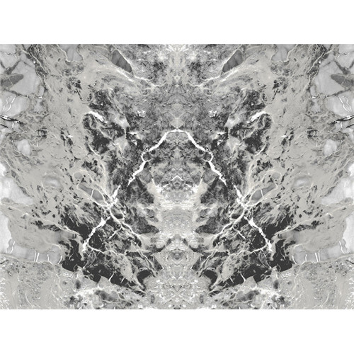 Vinyl Philipp Plein Panel 