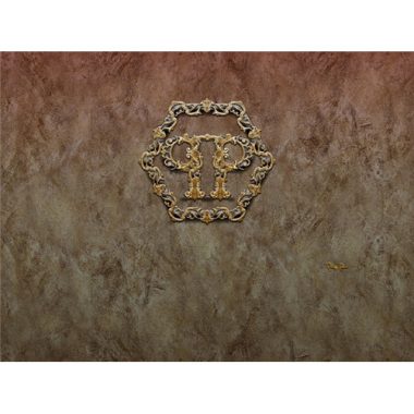 Vinyl Philipp Plein Panel 