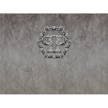 Vinyl Philipp Plein Panel 