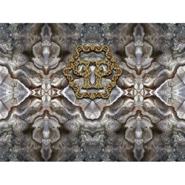 Vinyl Philipp Plein Panel 