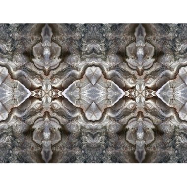 Vinyl Philipp Plein Panel 