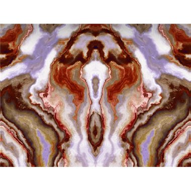 Vinyl Philipp Plein Panel 