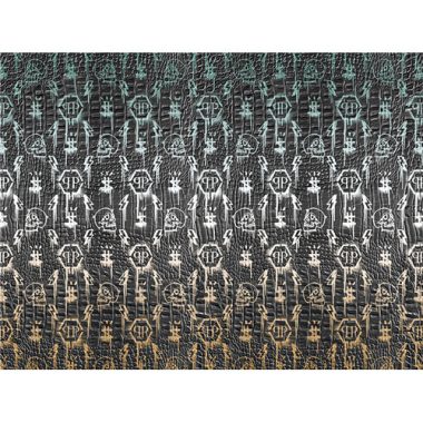 Vinyl Philipp Plein Panel 